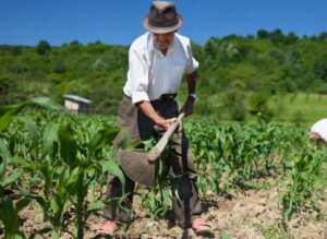 ¿Quiénes somos los/as asalariados/as agrícolas?